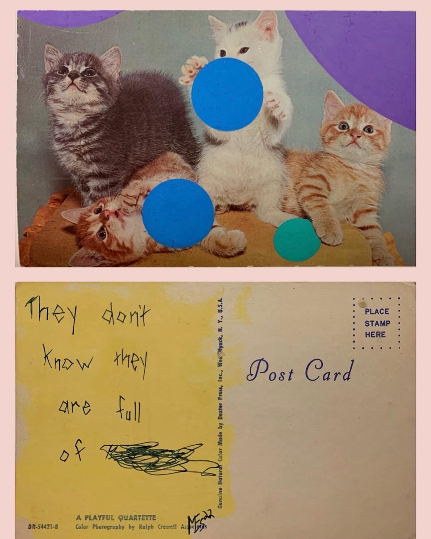 postcard art cats