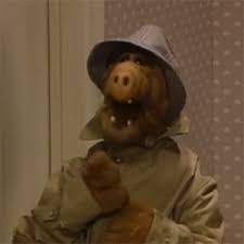 alf guy in a hat